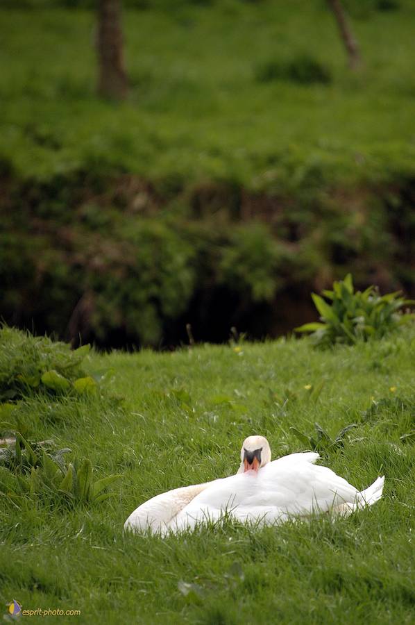 Nom de l'image : D1120331-01_(c)Norbert-JUNG — Description :  PËlerinage de Chartres 2004